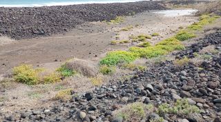 GC-Playa De Vargas 2026-22.jpg